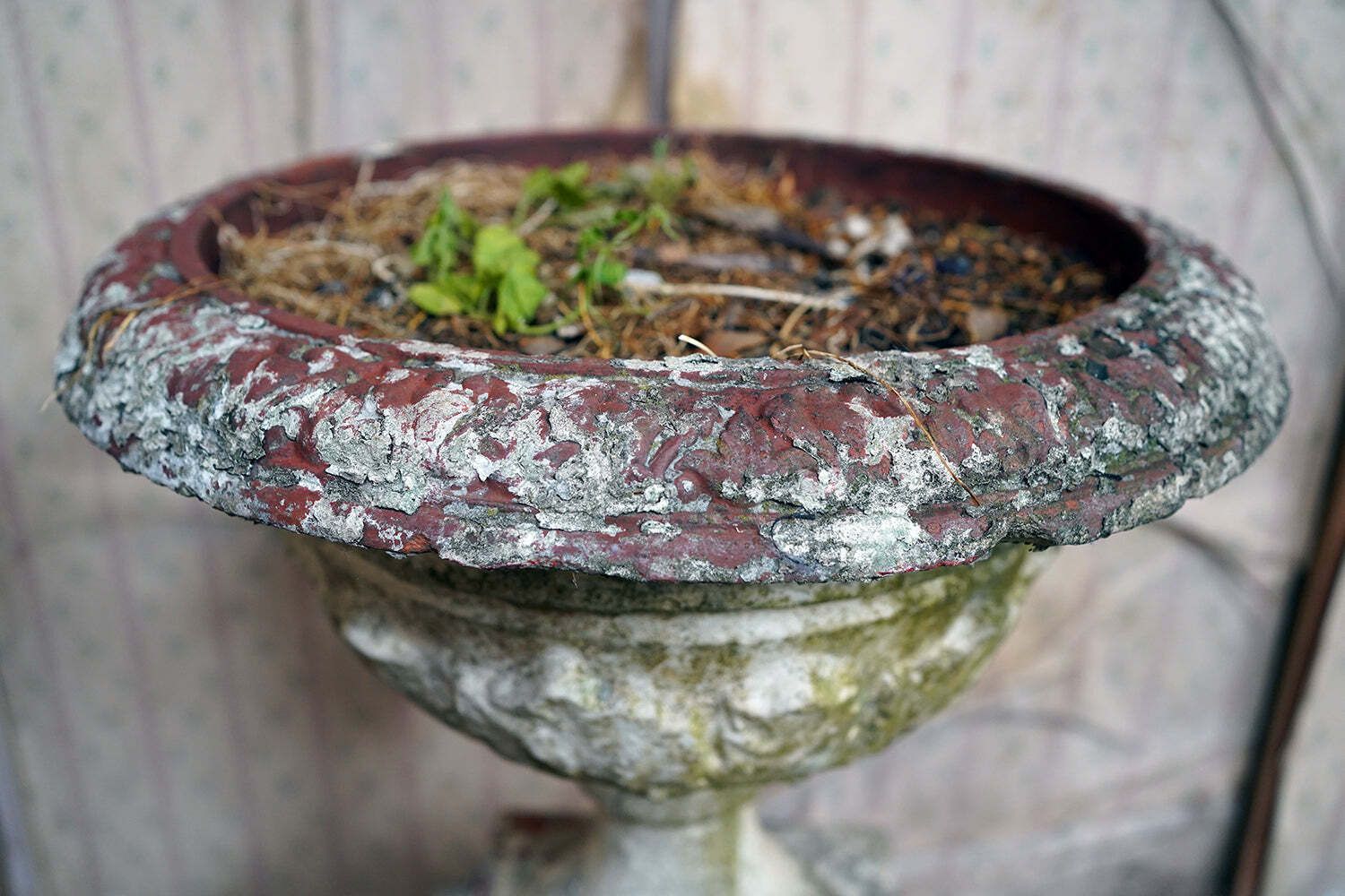 A Late 19thc Painted Stone Garden Tazza Urn On Stand C.1900 photo Garden Decor