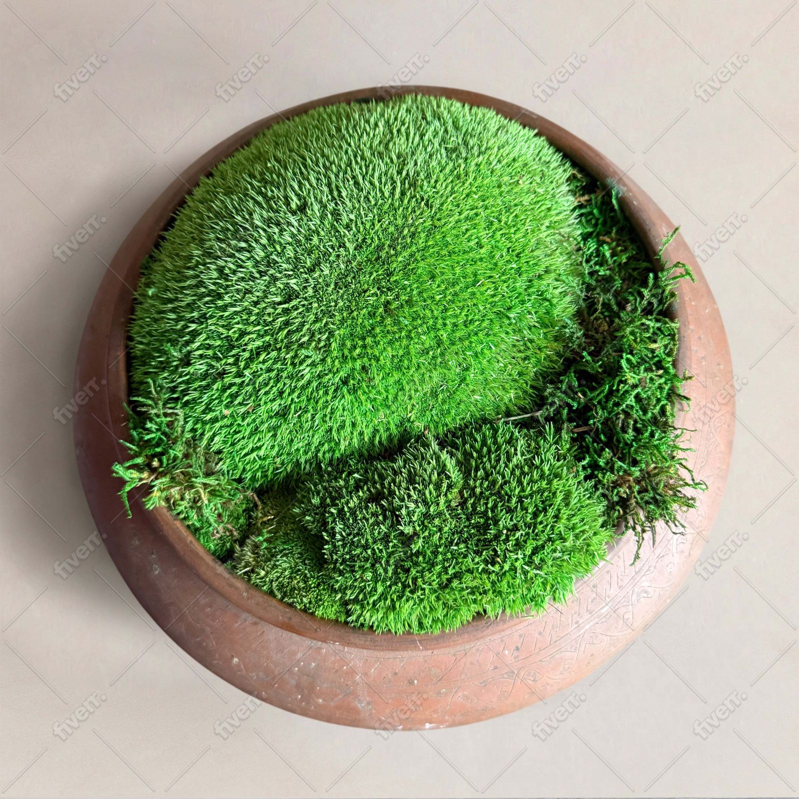 Elafonissi Copper Vessel, 18th Century    Preserved Moss photo furniture