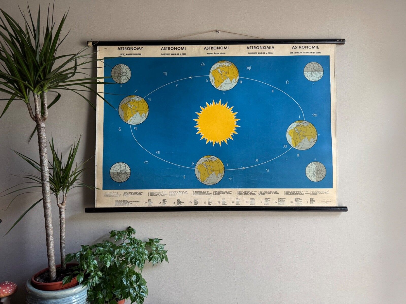Vintage School Chart Earths Annual Revolution  Educational Wall Chart Astronomy