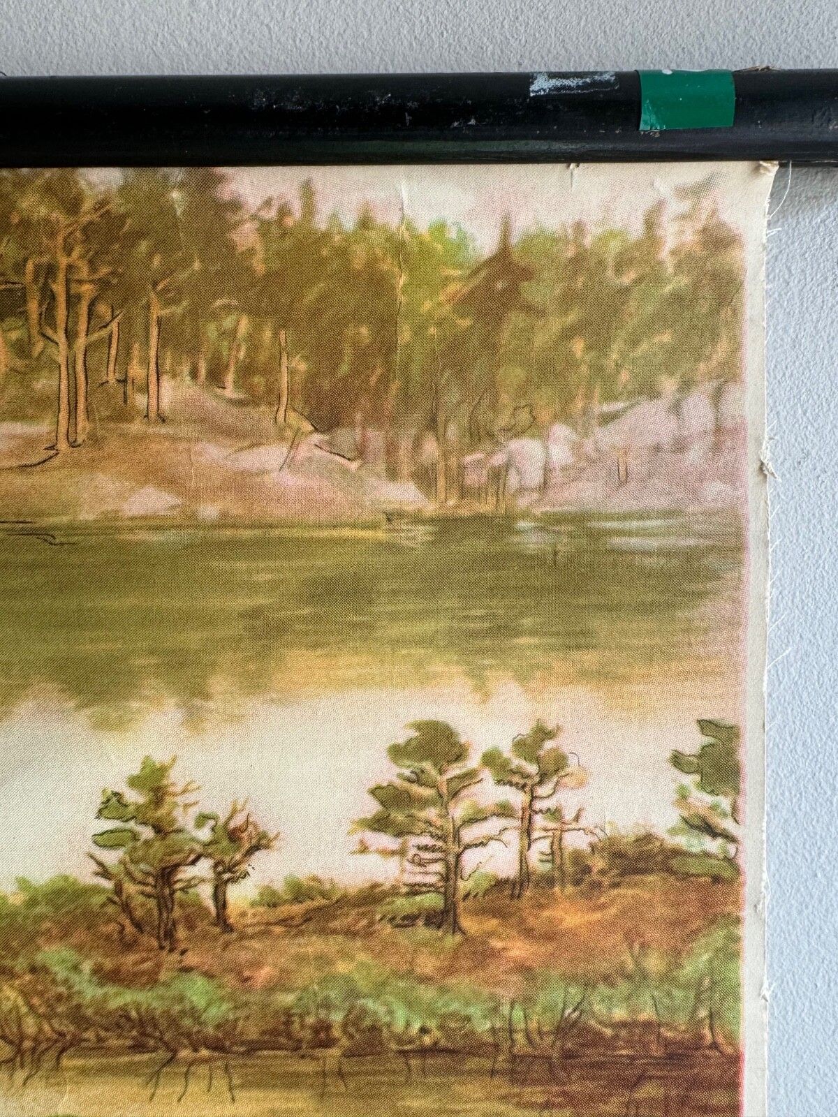 photo furniture Vintage School Chart Of The Nutrient Poor Moorland Lake Botanical Poster Geology