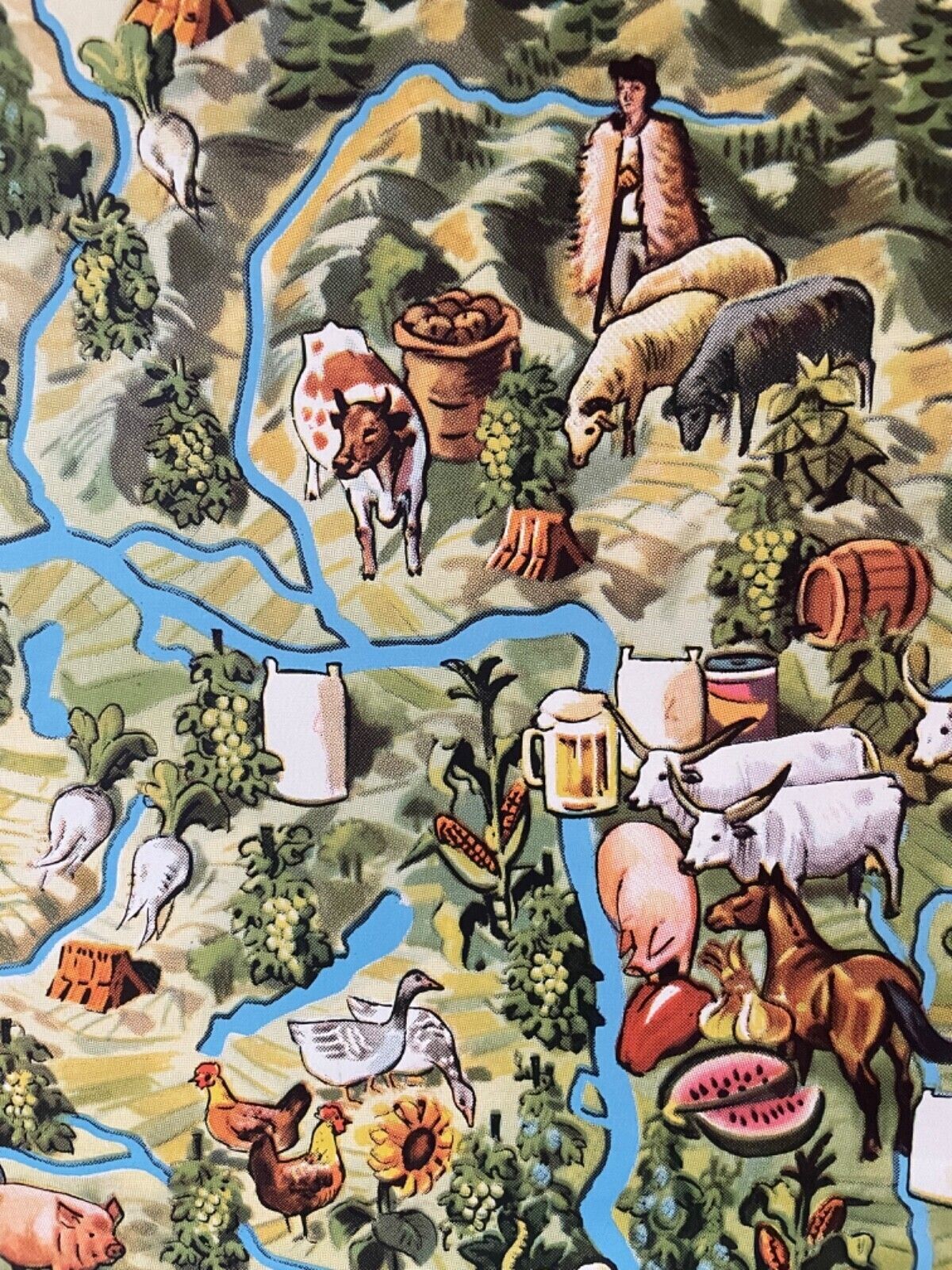 photo vinterior Vintage Pictorial Map Of Mid Europe School Chart Agriculture & Fishing