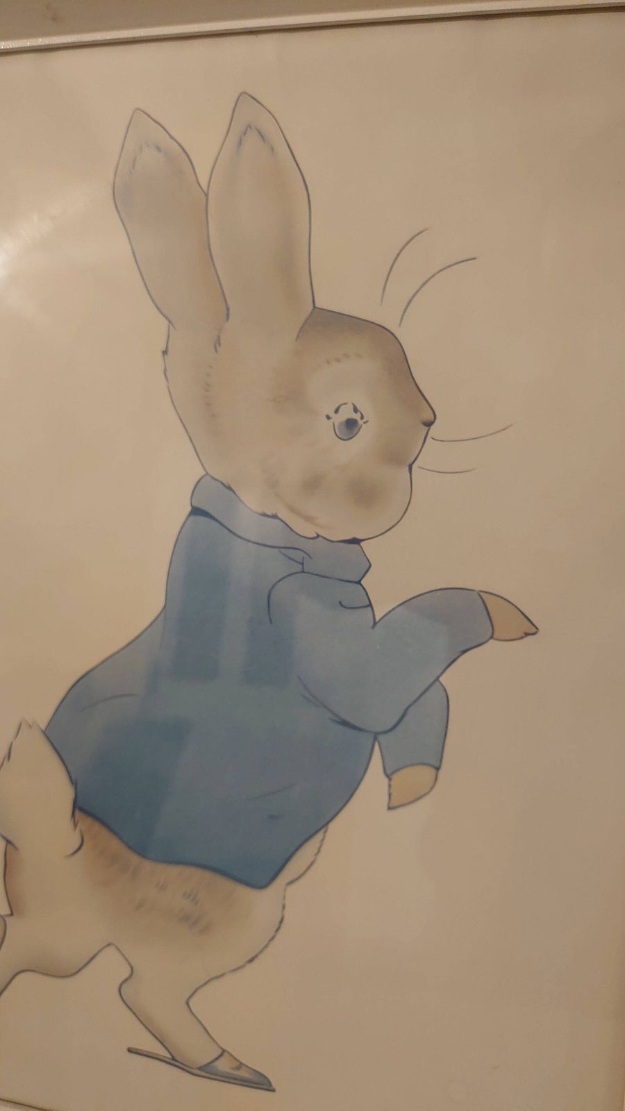 Beatrix Potter's Tale Of Peter Rabbit Print   44cm X 35.5cm   Good To Very Good Condition photo for sale