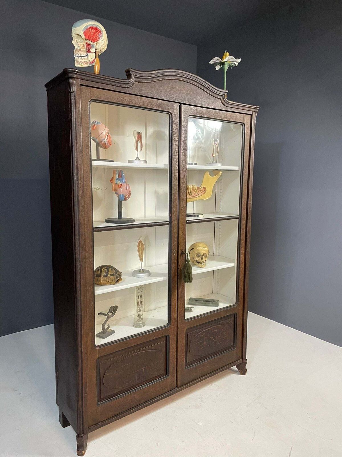Historic Glass Front Bookcase From Austria Hungary, Late 19th–Early 20th C. photo 822.0