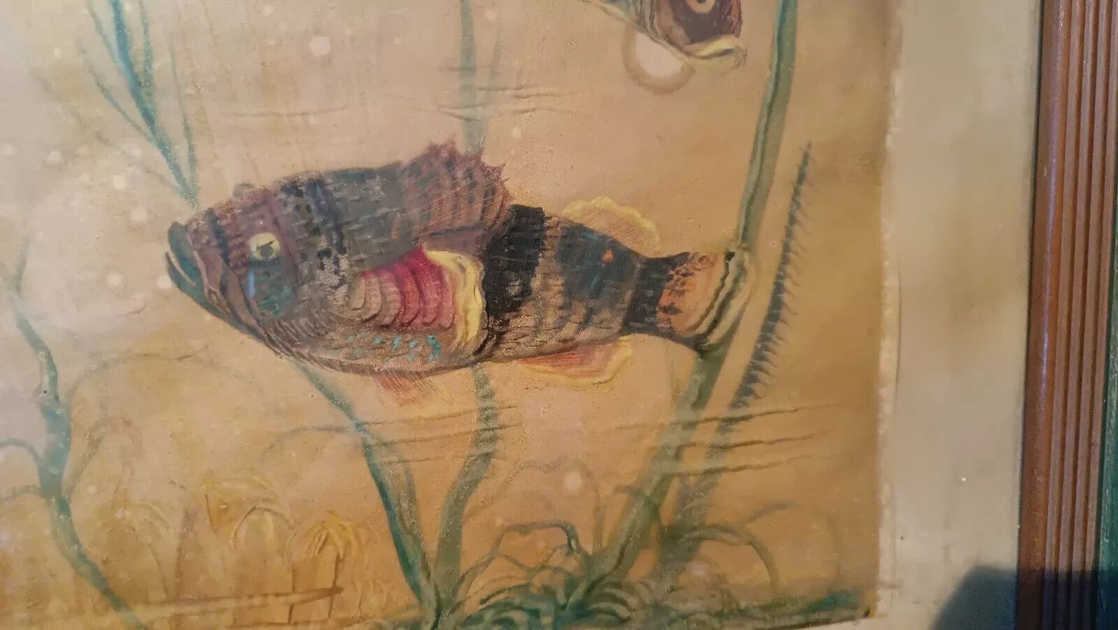 Mixed Media Painting Fish Silvio Polloni (Florence 1888 1972) Wooden Frame photo buy