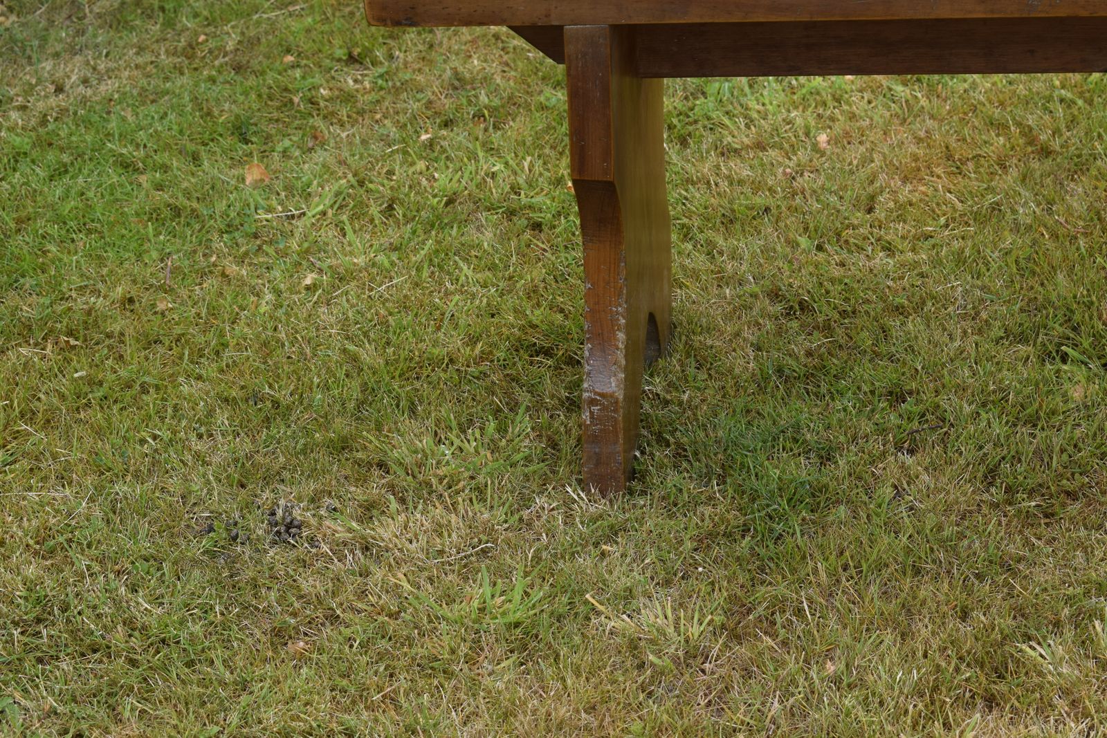 photo furniture Early 20th Century Bench, 1900s
