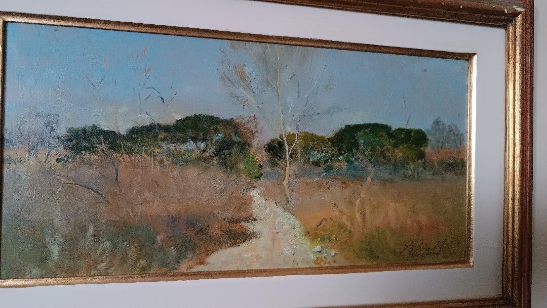 Oil Painting Cardboard Landscape Maremma Bruno Loretti (Livorno 1940) photo 180.0