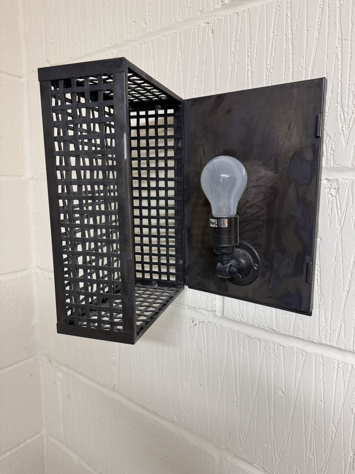 Reclaimed Lighting: Black Cage Light (Quantity 4x) photo furniture
