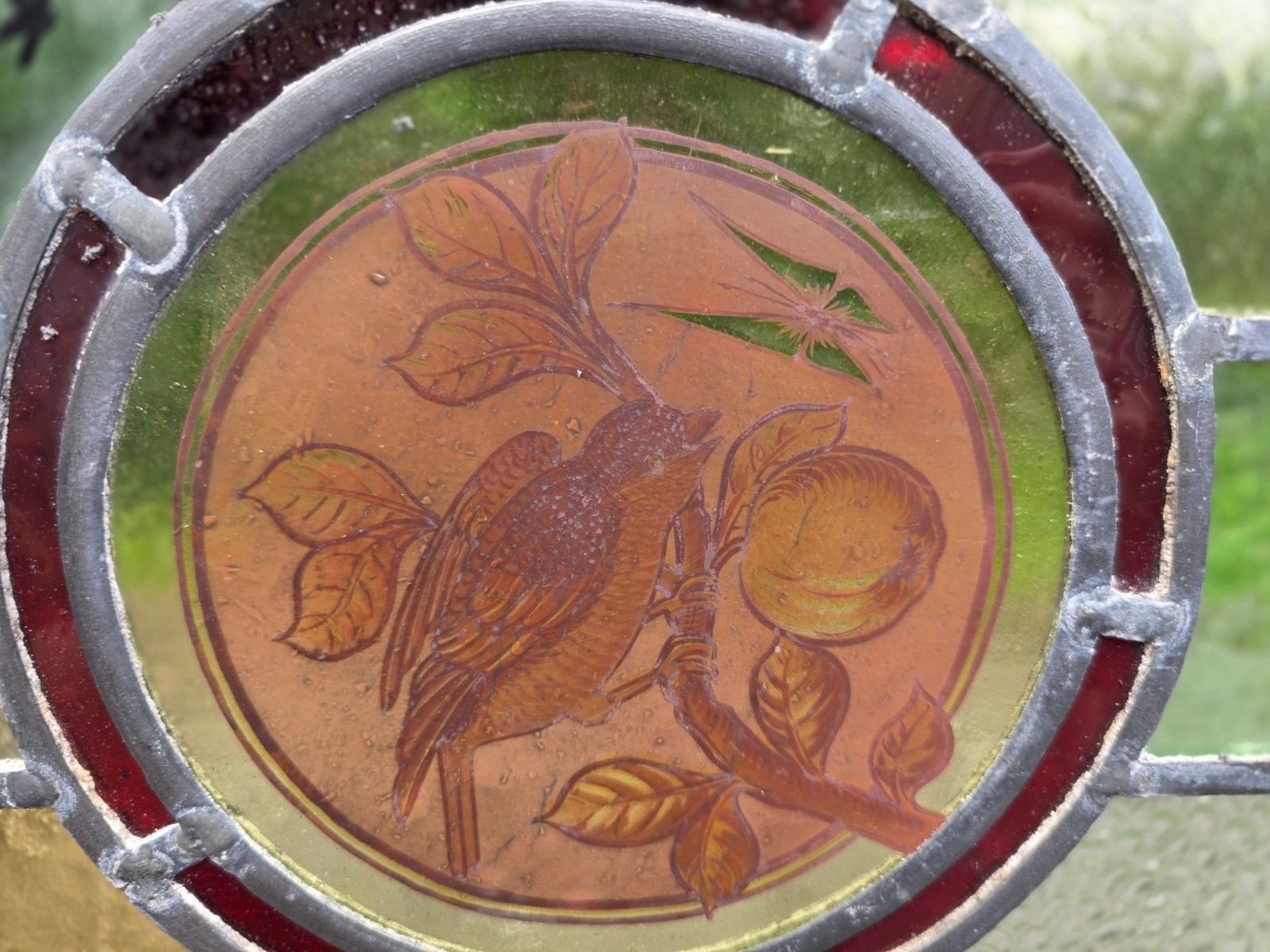 1910 Antique Leaded Glass Window With Bird On A Branch photo for sale