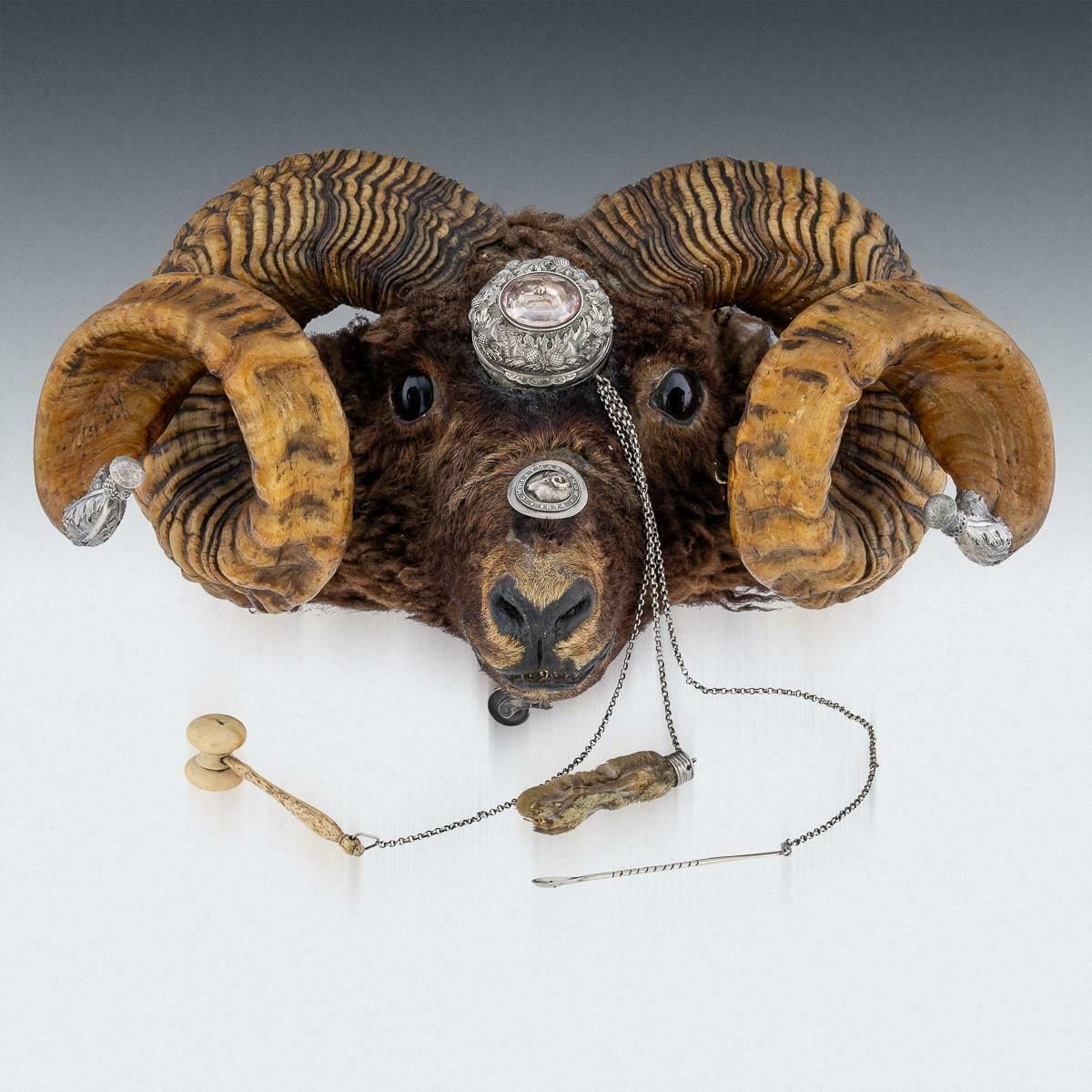 Antique 19th Century Victorian Silver Mounted Ram’s Head Snuff Mull C.1874 photo for sale