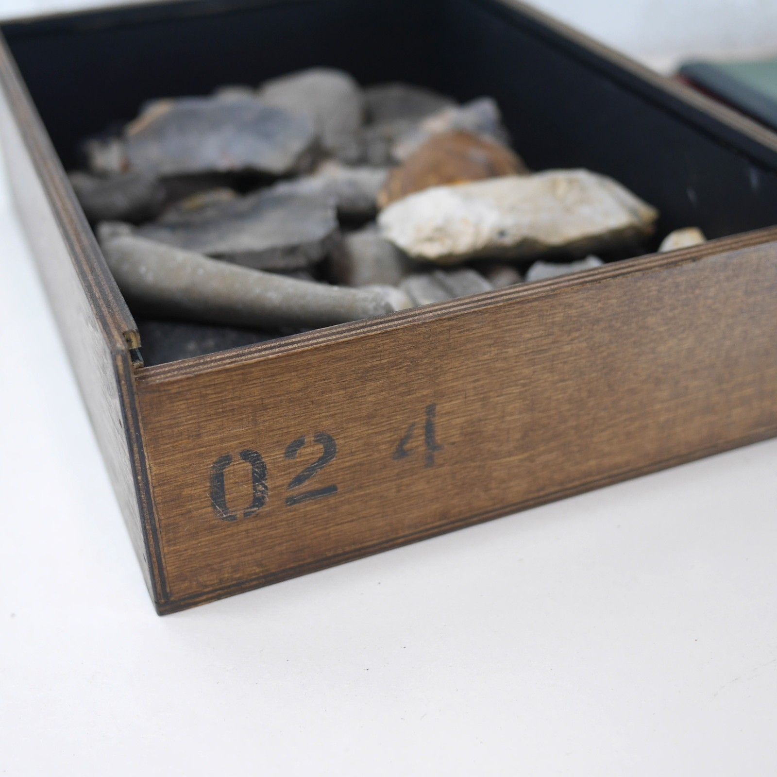 Vintage Collection Fossils Ammonite Petrified Wood Box Book #102947 photo Home Decor