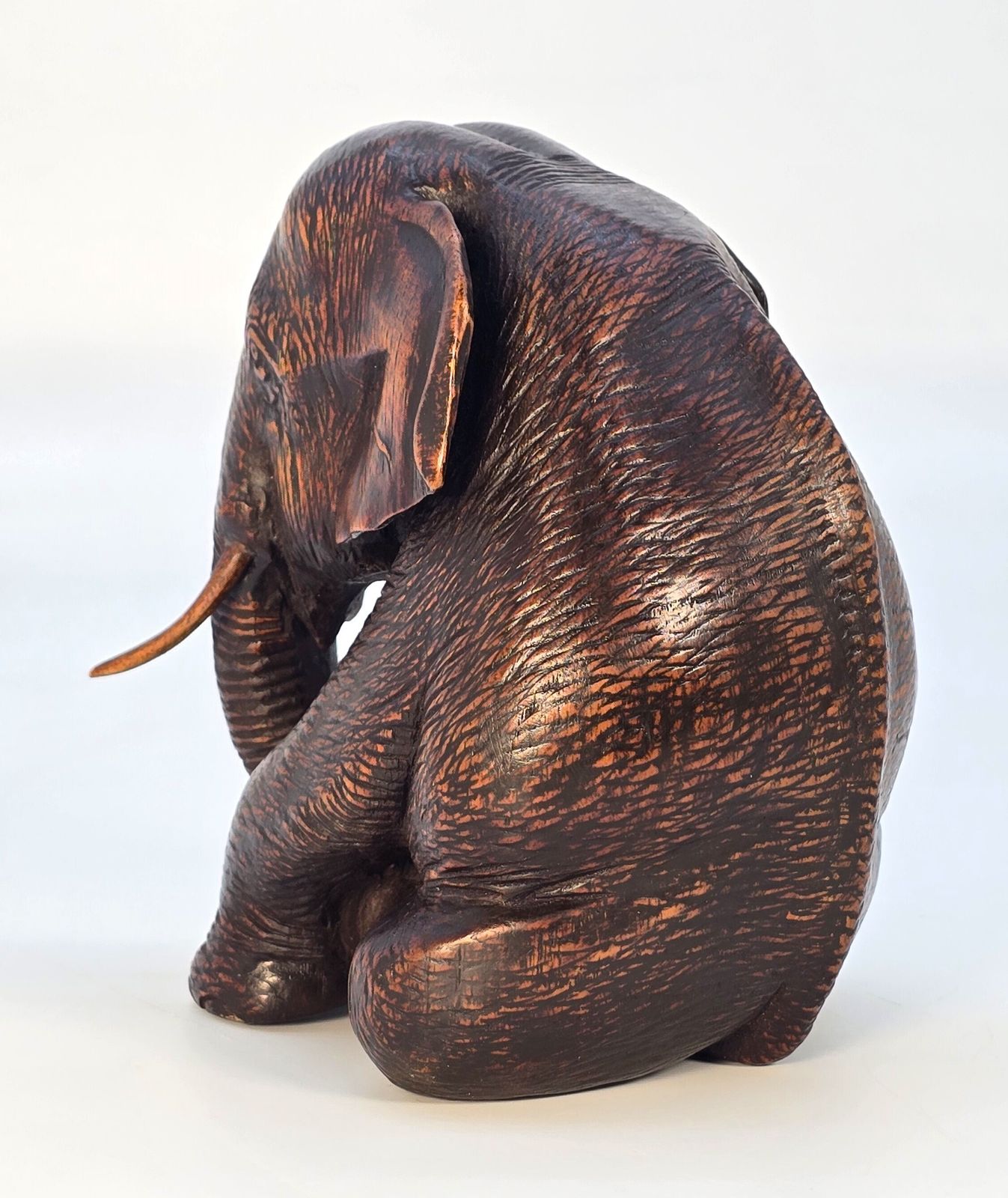Antique Hardwood Study Of A Seated Elephant, Circa 1890 photo 545.0