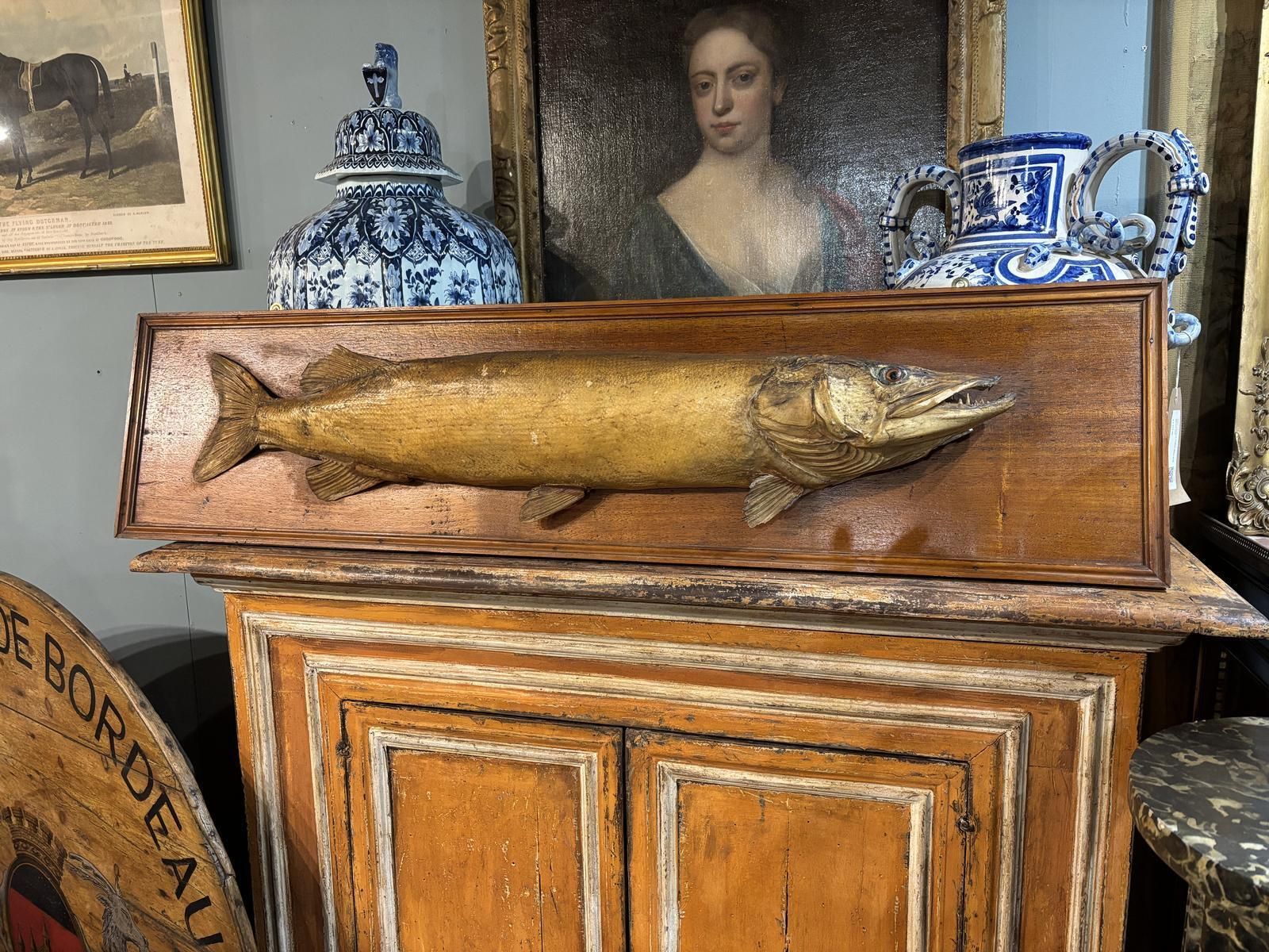 Victorian Taxidermy Pike, 1800s photo furniture
