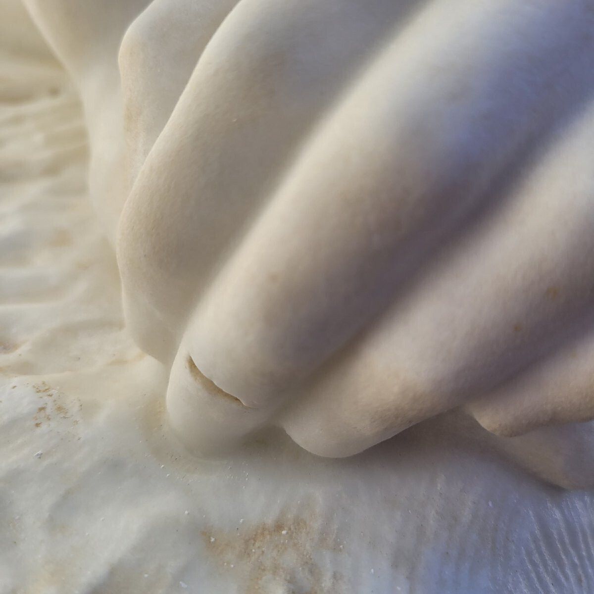 photo furniture Large Bather On A Rock, Large White Marble (155cm), Late 19th Century