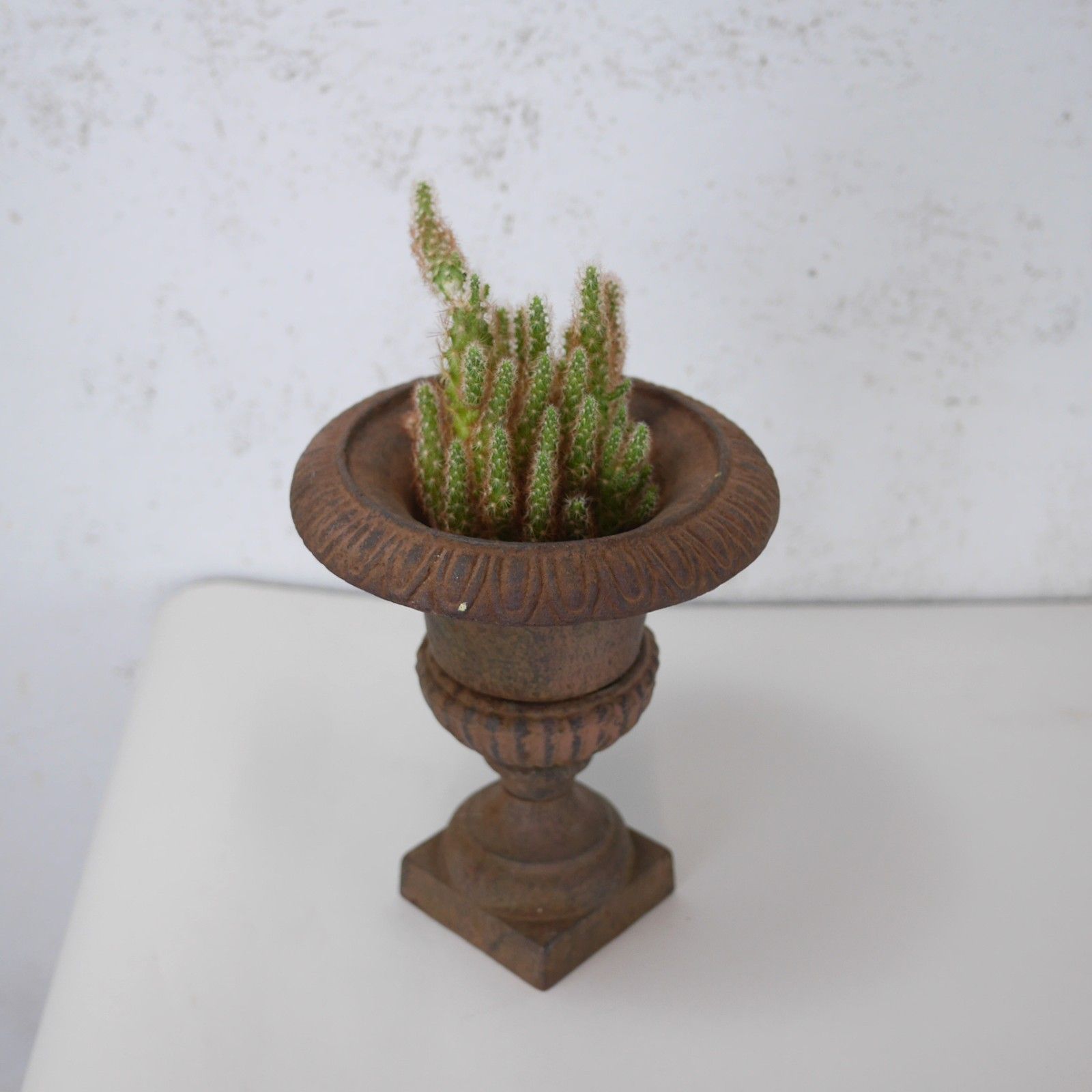 Small Miniature Cast Iron French Campana Urn Planter Victorian Style #102894 photo for sale