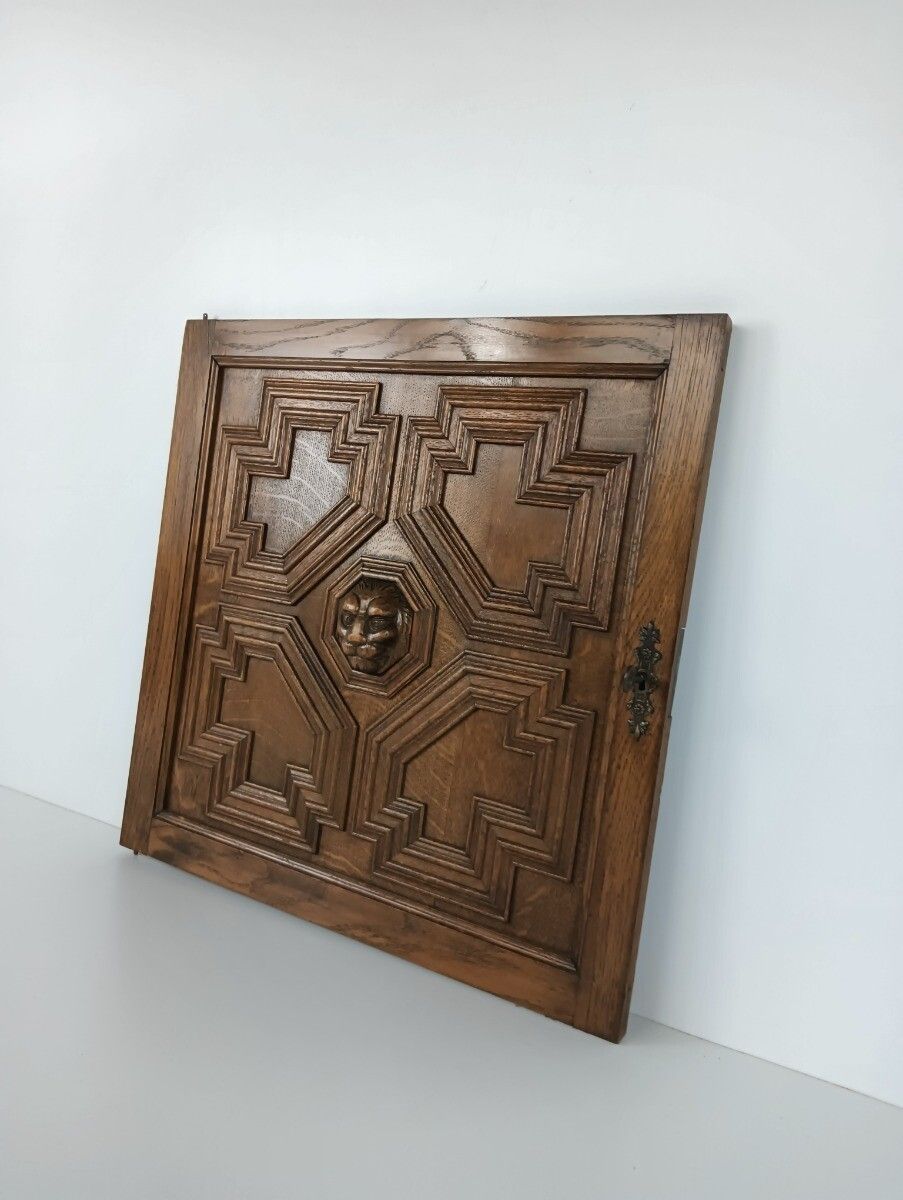 Antique 19th Century Door Panel Lion Head Ornate Carved Wood Architectural Reccl photo furniture
