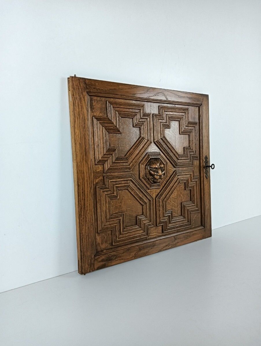 Antique 19th Century Door Panel Lion Head Ornate Carved Wood Architectural Reccl photo for sale