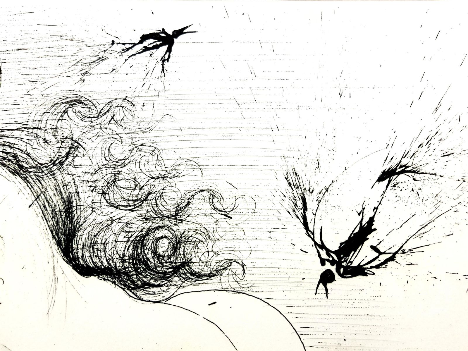 Salvador Dalí­Salvador Dali   Nude With Parrots1967 photo vinterior