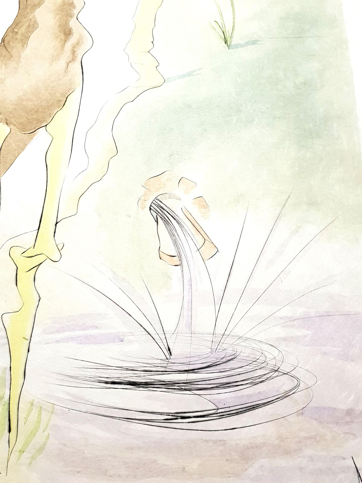 Salvador Dalí­Salvador Dali   Le Cerf From Le Bestiaire De La Fontaine   Signed Engraving1974 photo Art