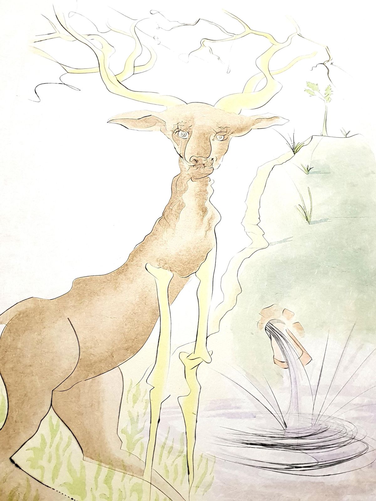 Salvador Dalí­Salvador Dali   Le Cerf From Le Bestiaire De La Fontaine   Signed Engraving1974 photo buy