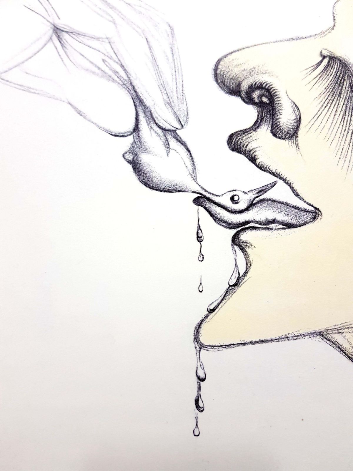 Salvador Dalí­Salvador Dali   Bird On Tongue   Original Etching1967 photo for sale