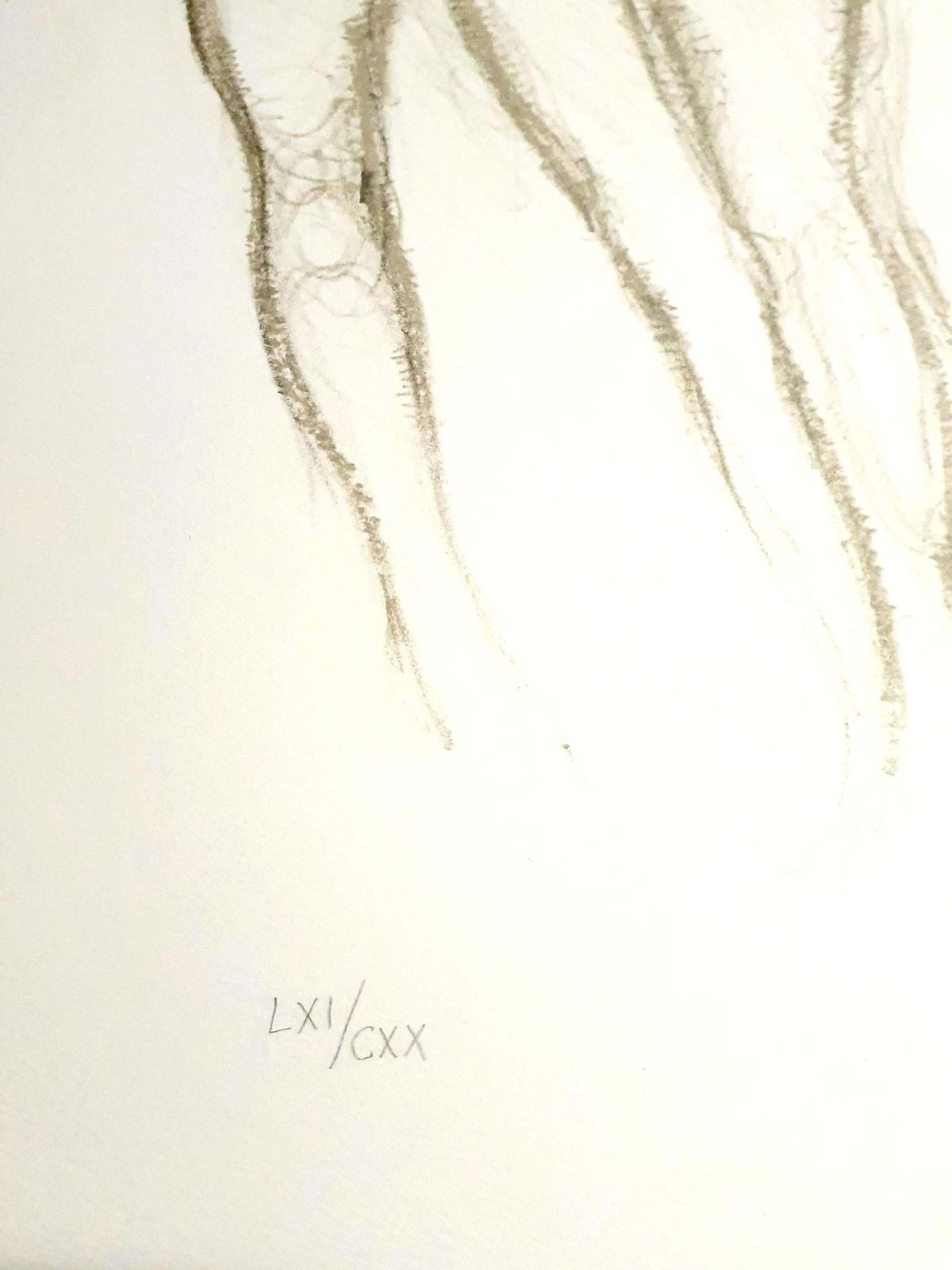Salvador Dalí­Salvador Dali   Nude Couples   Lithograph1970 photo for sale