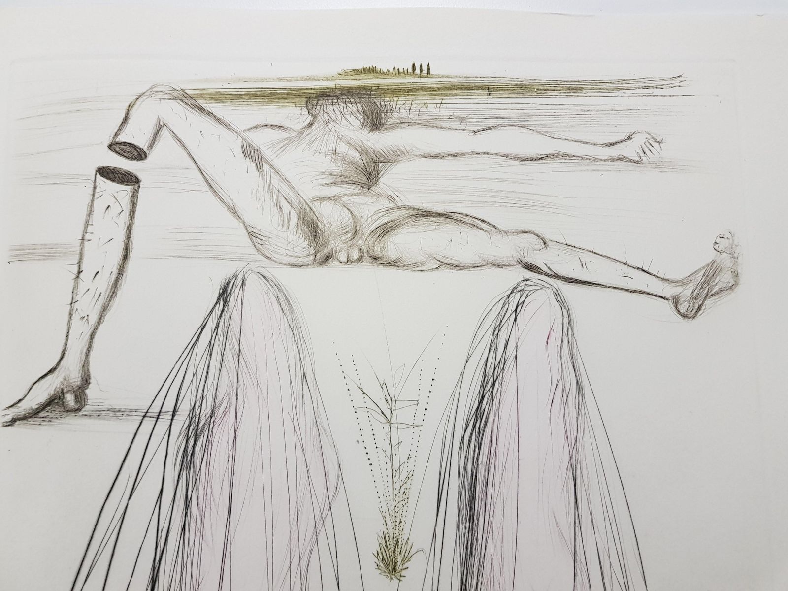Salvador Dalí­Salvador Dali   The Giant Beliagog1970 photo vinterior