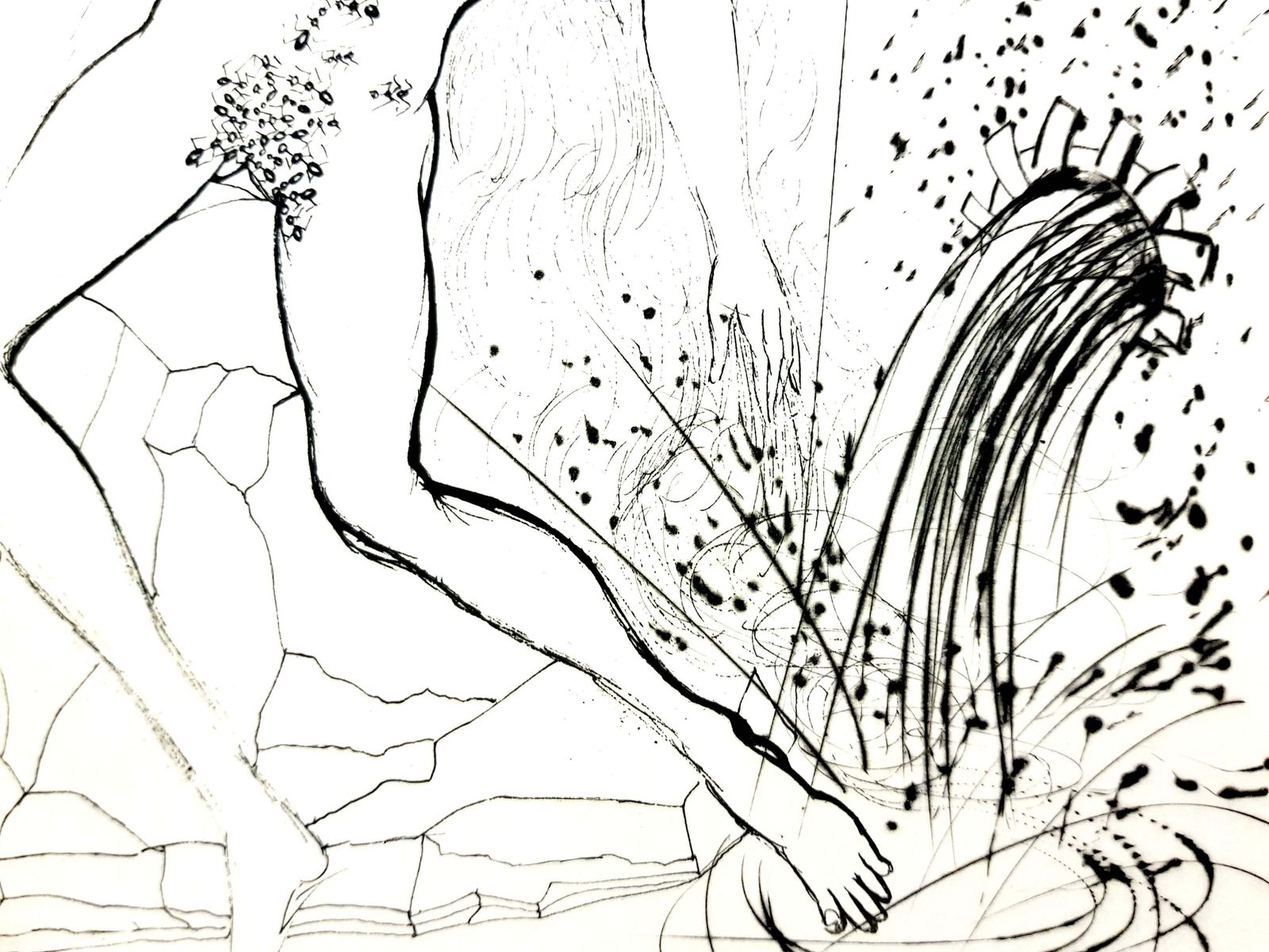 Salvador Dalí­Salvador Dali   Nude At The Fountain1967 photo buy