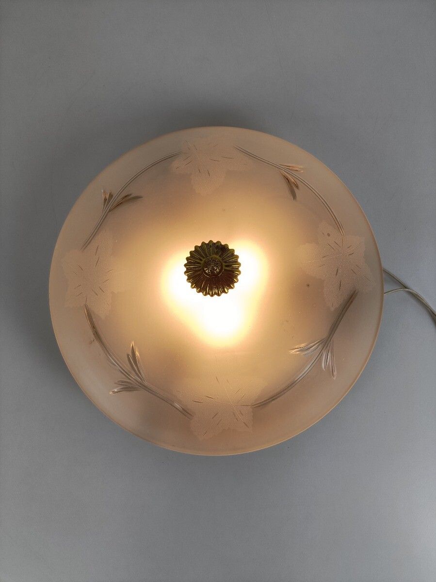Gorgeous French Ceiling Lamp Fixture Plafonniere Ornate  Flower On Shade photo for sale