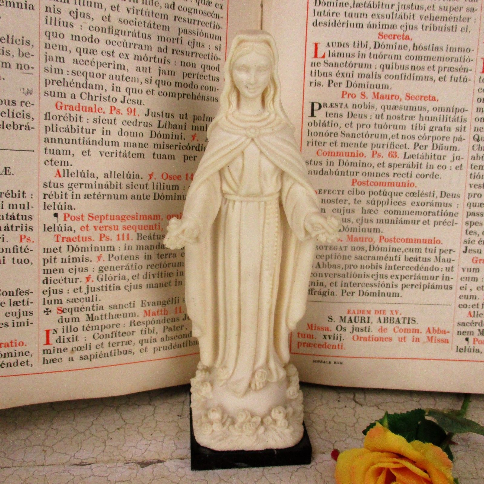 Statue Virgin Mary Our Lady Madonna Delle Rose Resin Marble Base Faro  Collector