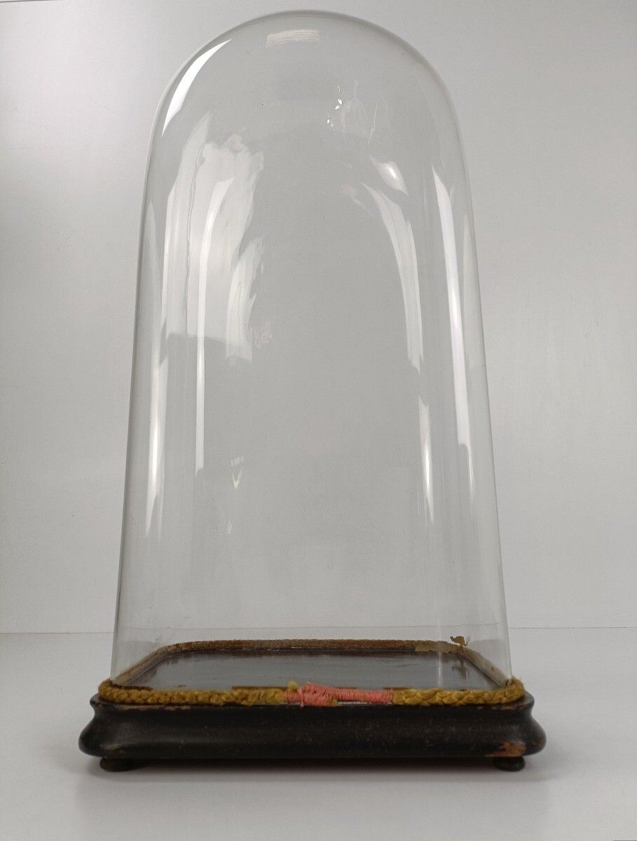 L Antique Victorian Oval Hand Blown Glass Globe Dome Doll Clock 23.03" H 10.55"W photo vinterior