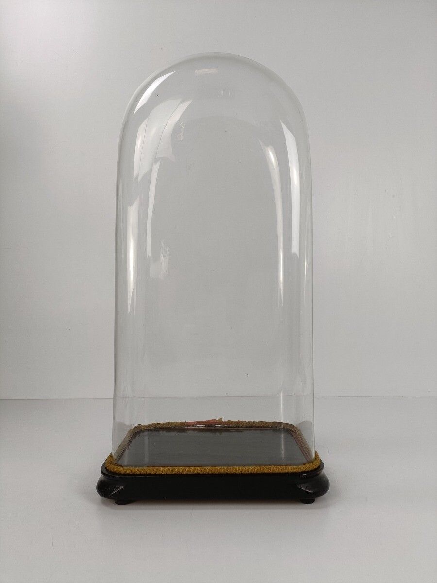 L Antique Victorian Oval Hand Blown Glass Globe Dome Doll Clock 23.03" H 10.55"W photo vintage