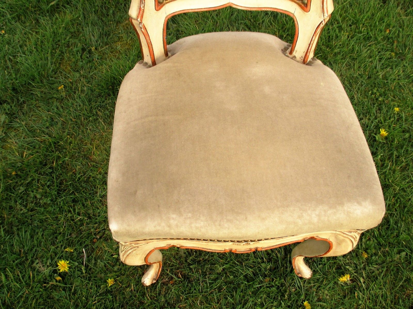 Elegant Louis Philippe Antique Chair White Beige Velvet Fabric Carved Wood photo 223.0