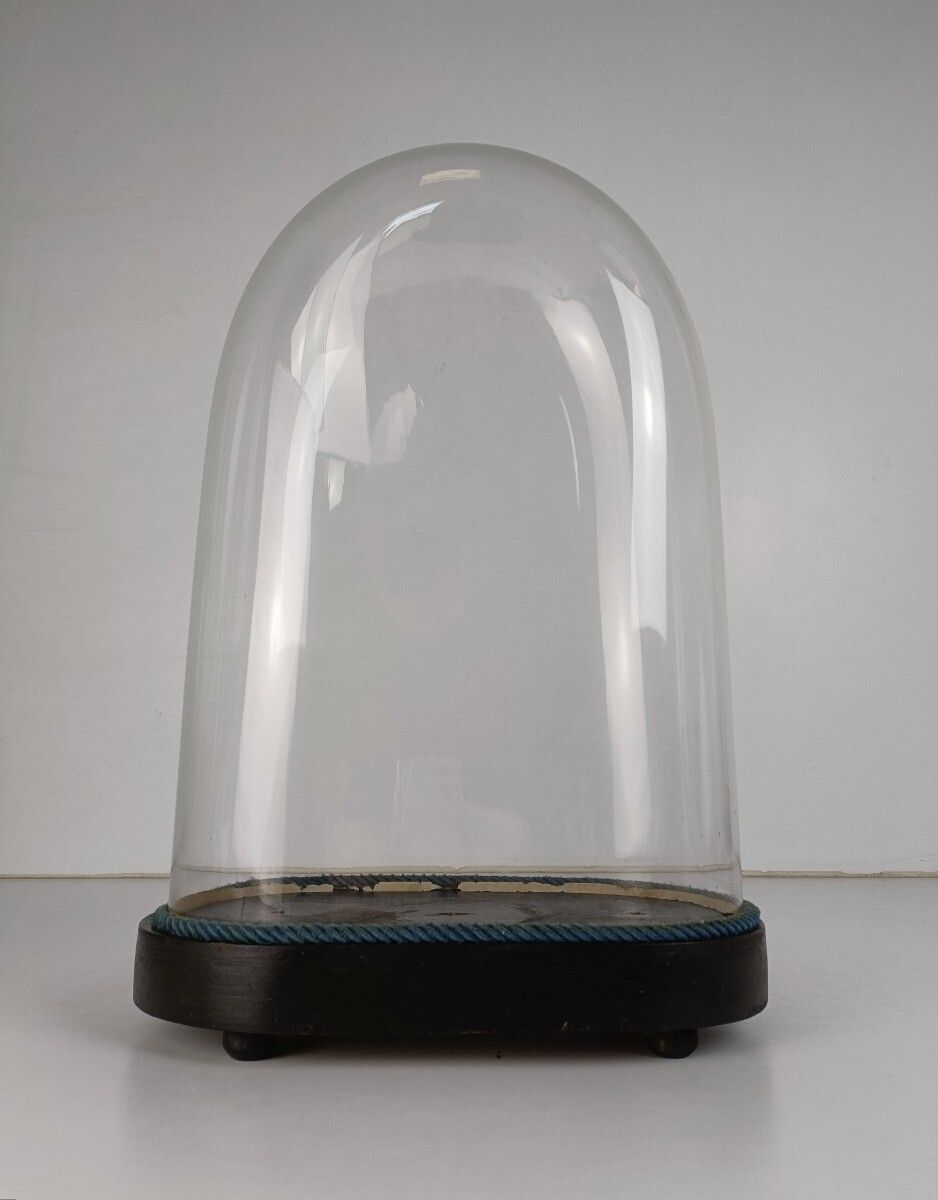 Antique Victorian Oval Hand Blown Glass Globe Dome Doll Clock 18.7" 12.2" photo for sale