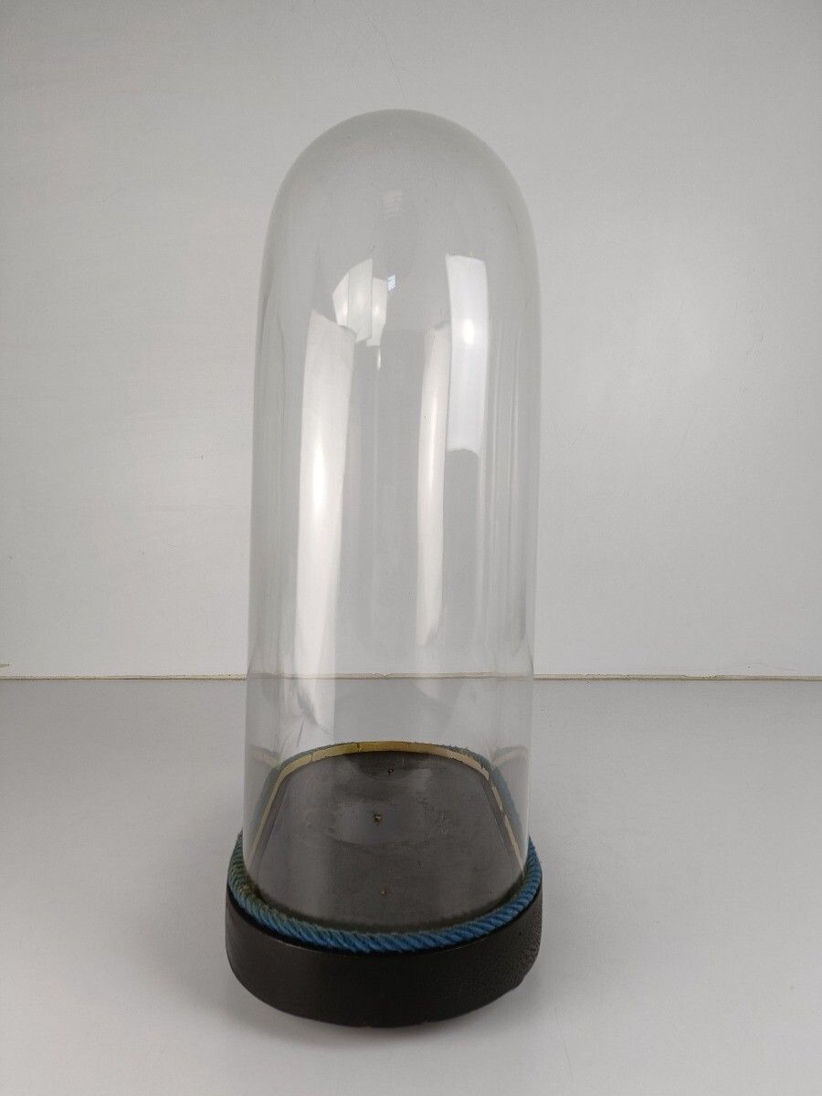 Antique Victorian Oval Hand Blown Glass Globe Dome Doll Clock 18.7" 12.2" photo 607.0