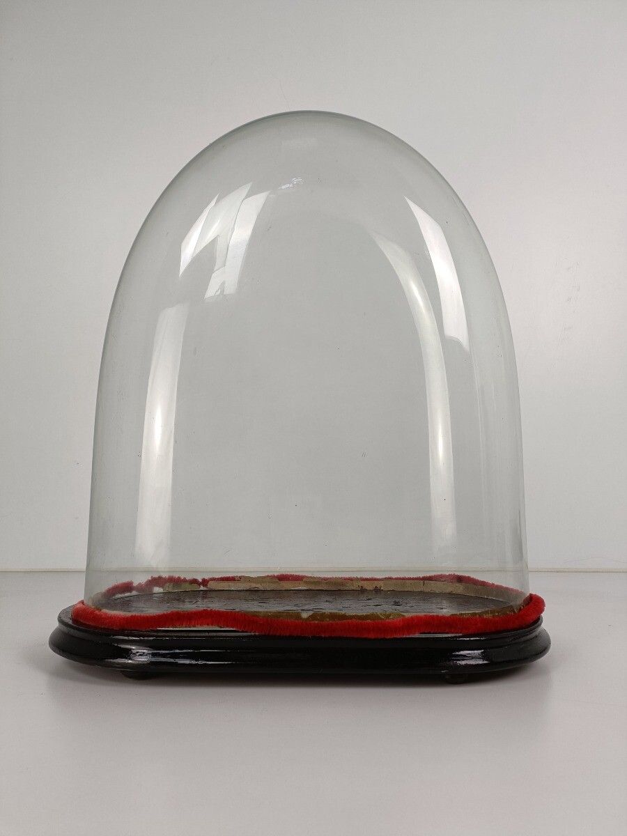Antique Victorian Oval Hand Blown Glass Globe Dome Doll Clock 18.18"H 15.35"W8.0 photo for sale