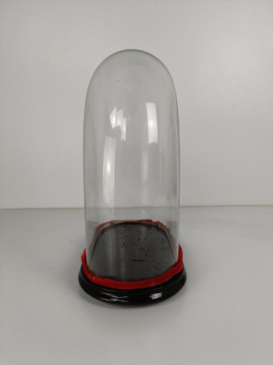 Antique Victorian Oval Hand Blown Glass Globe Dome Doll Clock 18.18"H 15.35"W8.0 photo Home Decor