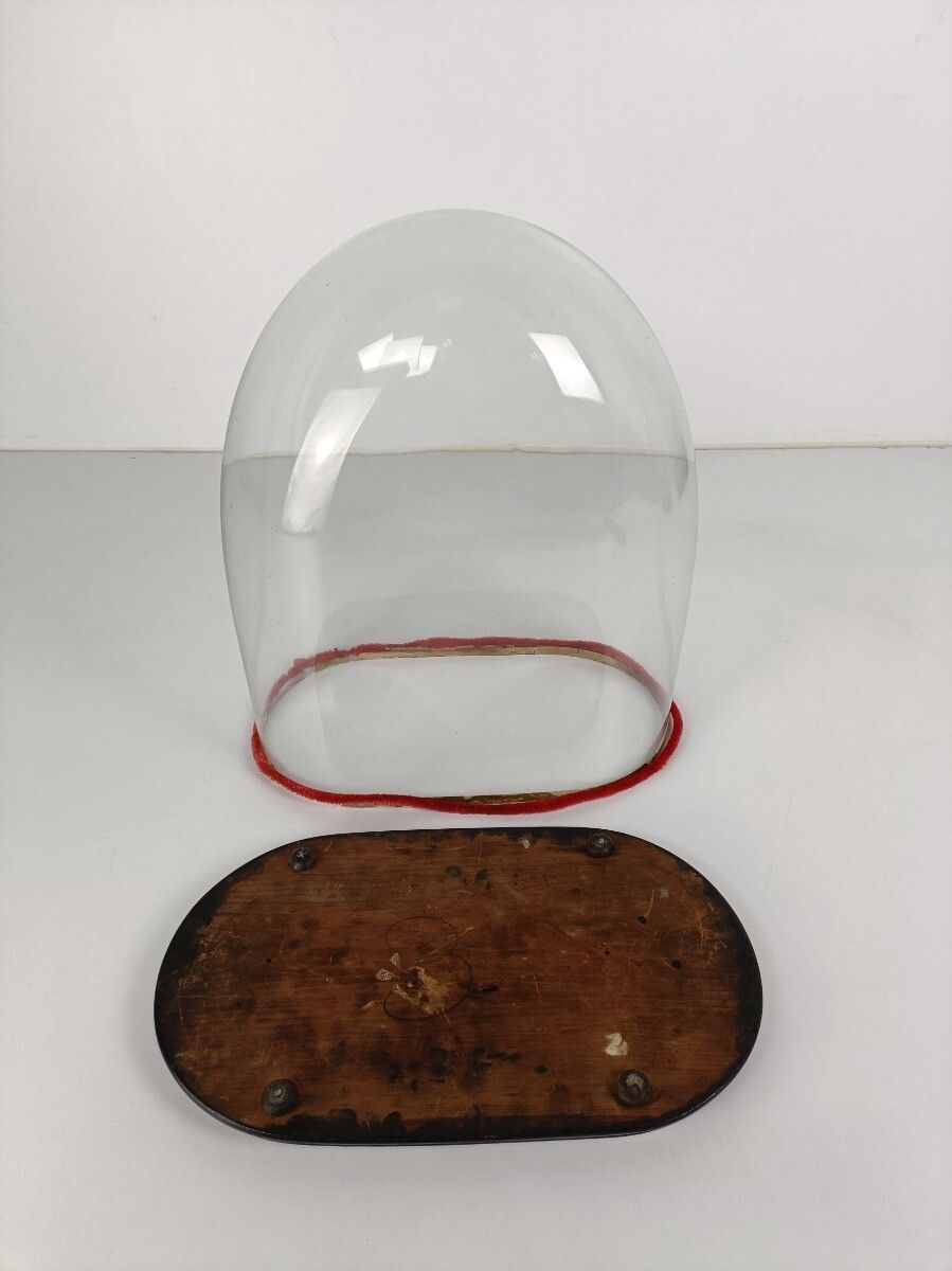 Antique Victorian Oval Hand Blown Glass Globe Dome Doll Clock 18.18"H 15.35"W8.0 photo vinterior