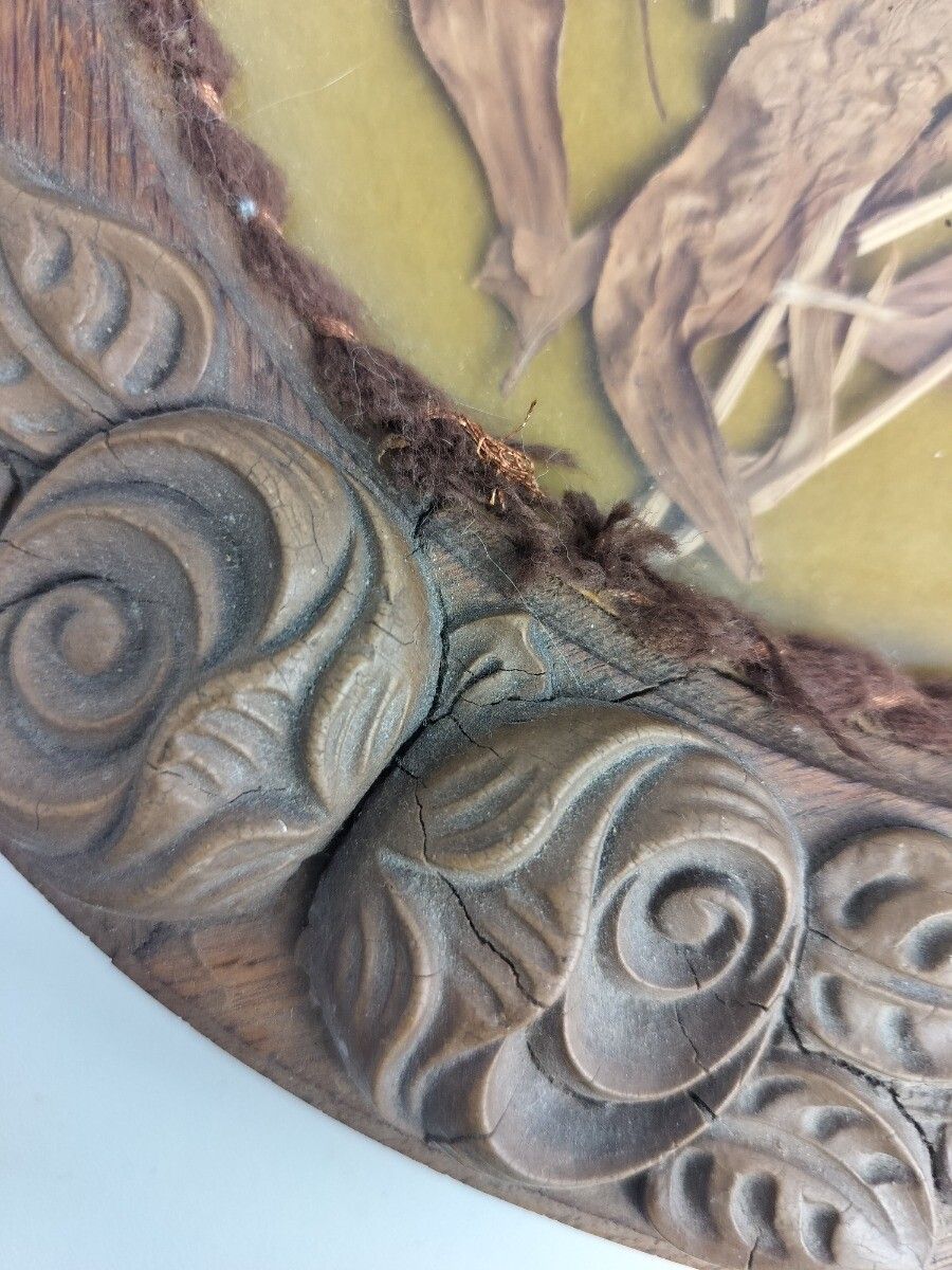 photo furniture Oval Wooden Framed Shadow Box Dried Flowers Vintage Wall Hanging Carved Ornate W