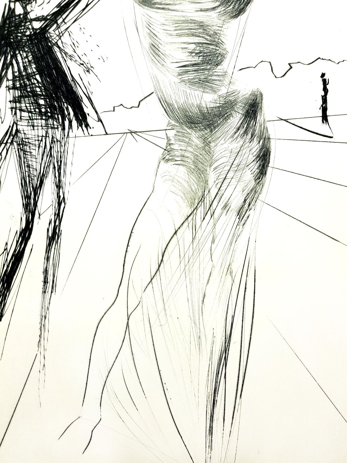 Salvador Dalí­Salvador Dali   Sator From "Faust"1969 photo vinterior