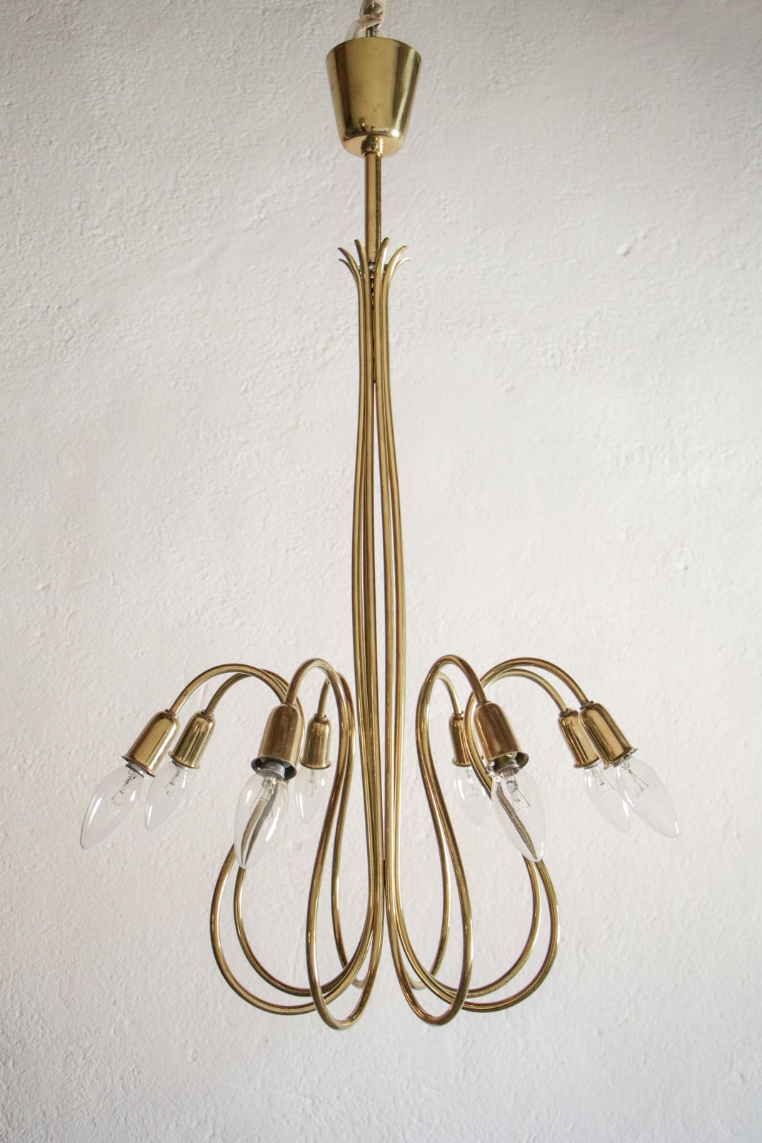 Austrian Mid Century Octopus Chandelier Attributed To J.T. Kalmar, 1950s photo buy