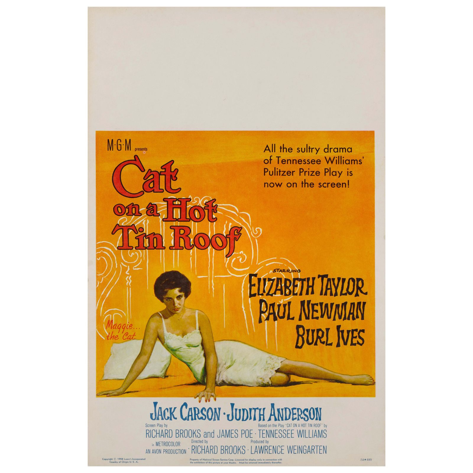 Cat On A Hot Tin Roof