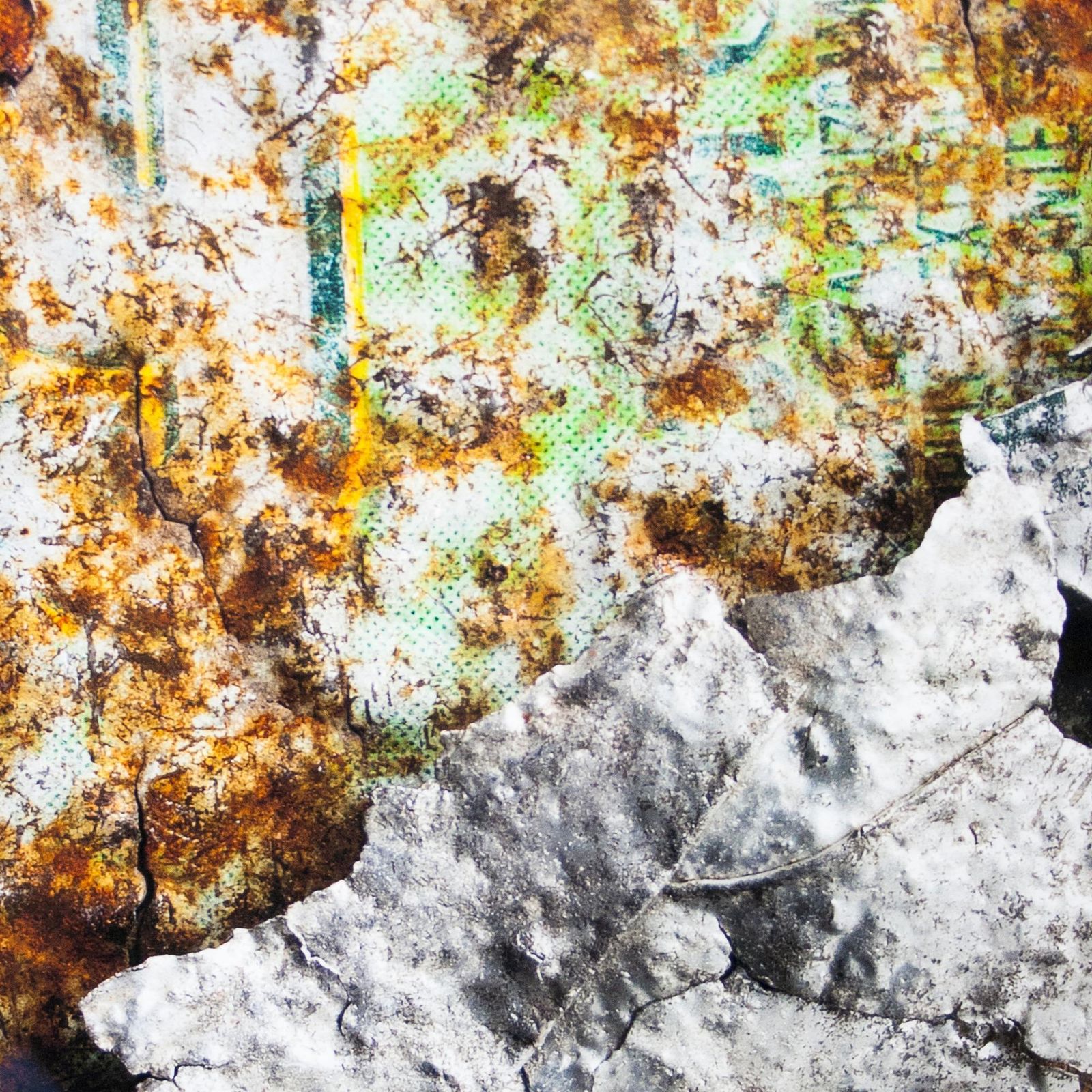 Amador Toril's "Can" Photography, Spain, 2020. photo for sale