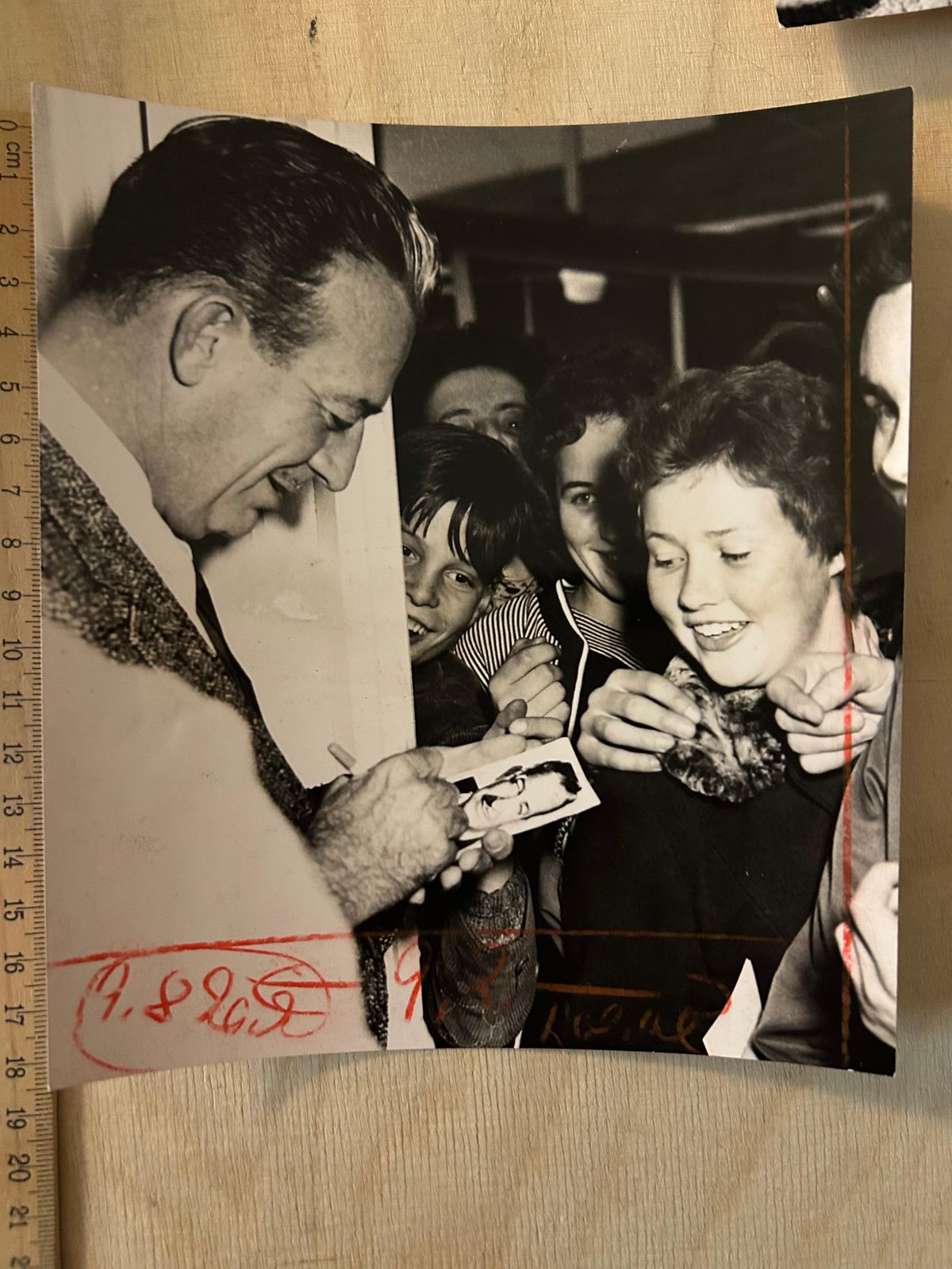 Peter Bischoffwalter "Walt" Disney    Convolute Of 7 Original Press Photos1950s photo for sale