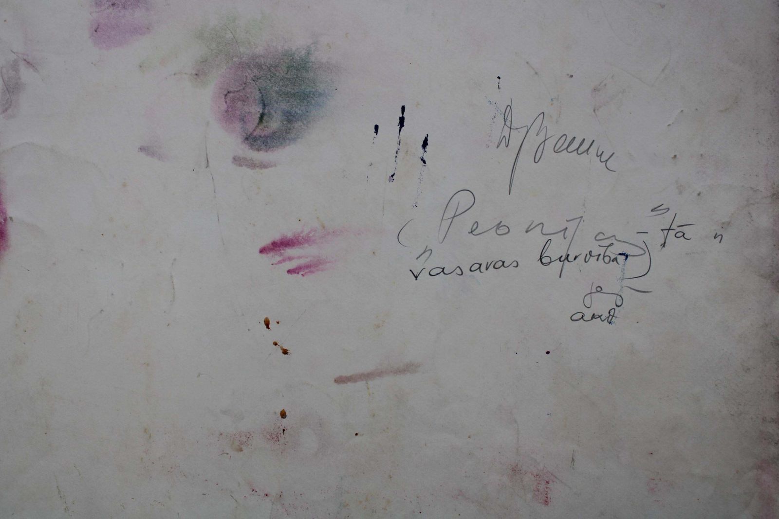 Dzidra Baumapeonies. Summer Magic  1985. Paper, Watercolor, 61.5x73 Cm1985 photo 624.0