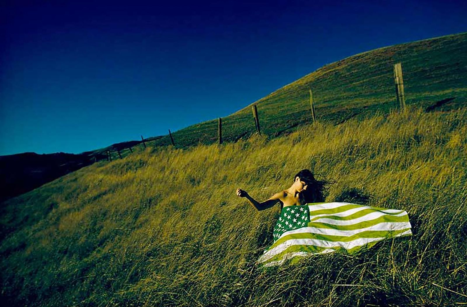 Art Kane C Print Art Kane   Estate Green Flag, 1970 1970