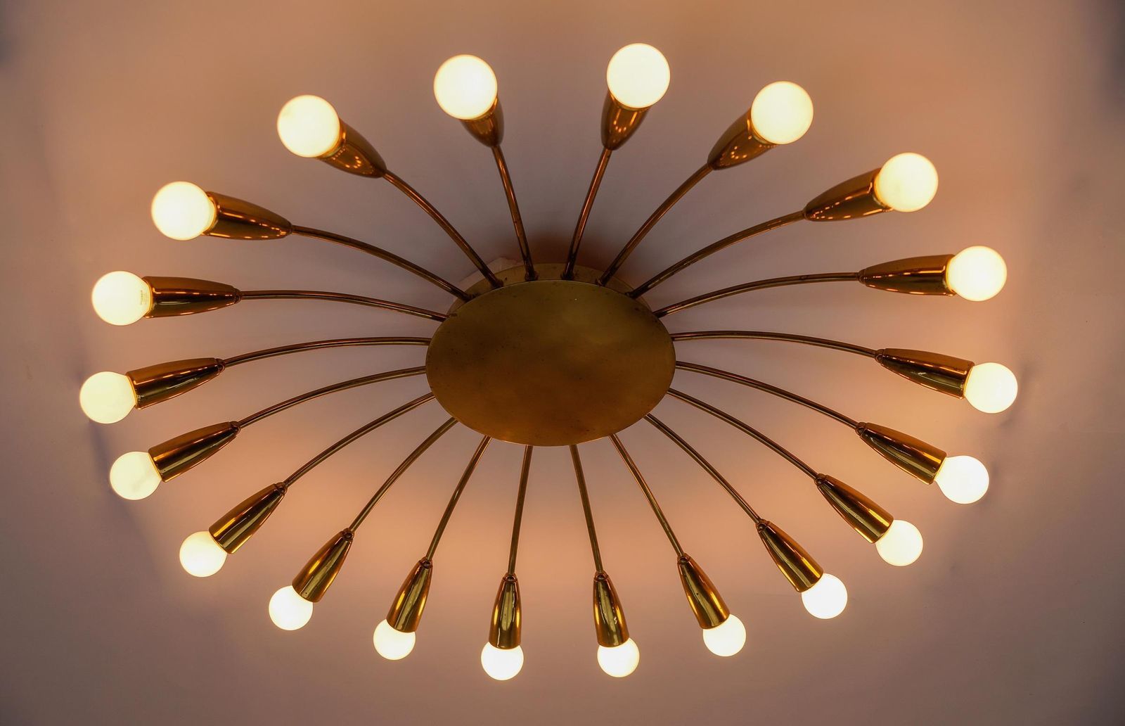 Large Mid Century Modern 20 Arm Brass Sputnik Lamp, Germany, 1950s photo 5751.0