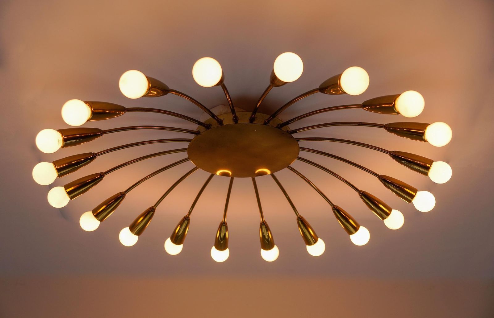 Large Mid Century Modern 20 Arm Brass Sputnik Lamp, Germany, 1950s photo buy