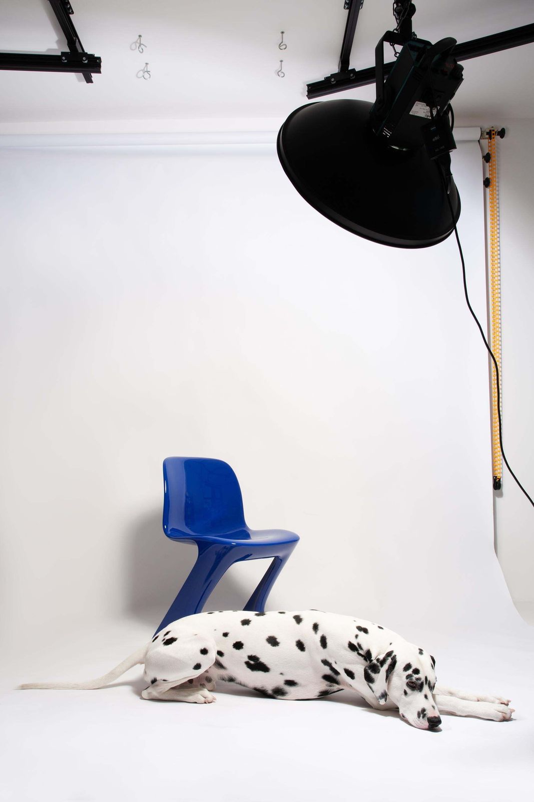 Mid Century Ultramarine Blue Kangaroo Chair, Ernst Moeckl, Germany, 1968 photo furniture