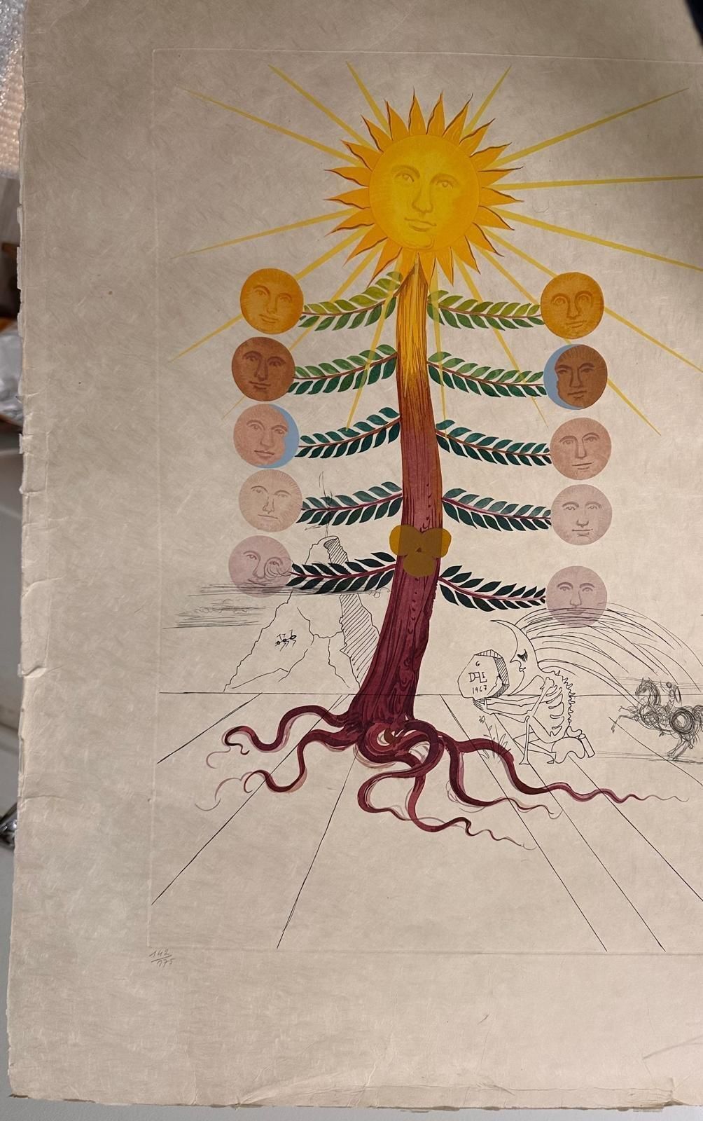 2212.0 Salvador Dalí­Flordali : Luna Geminata (Moon)   Original Etching, Handsigned (Field 68 3f)1968 photo