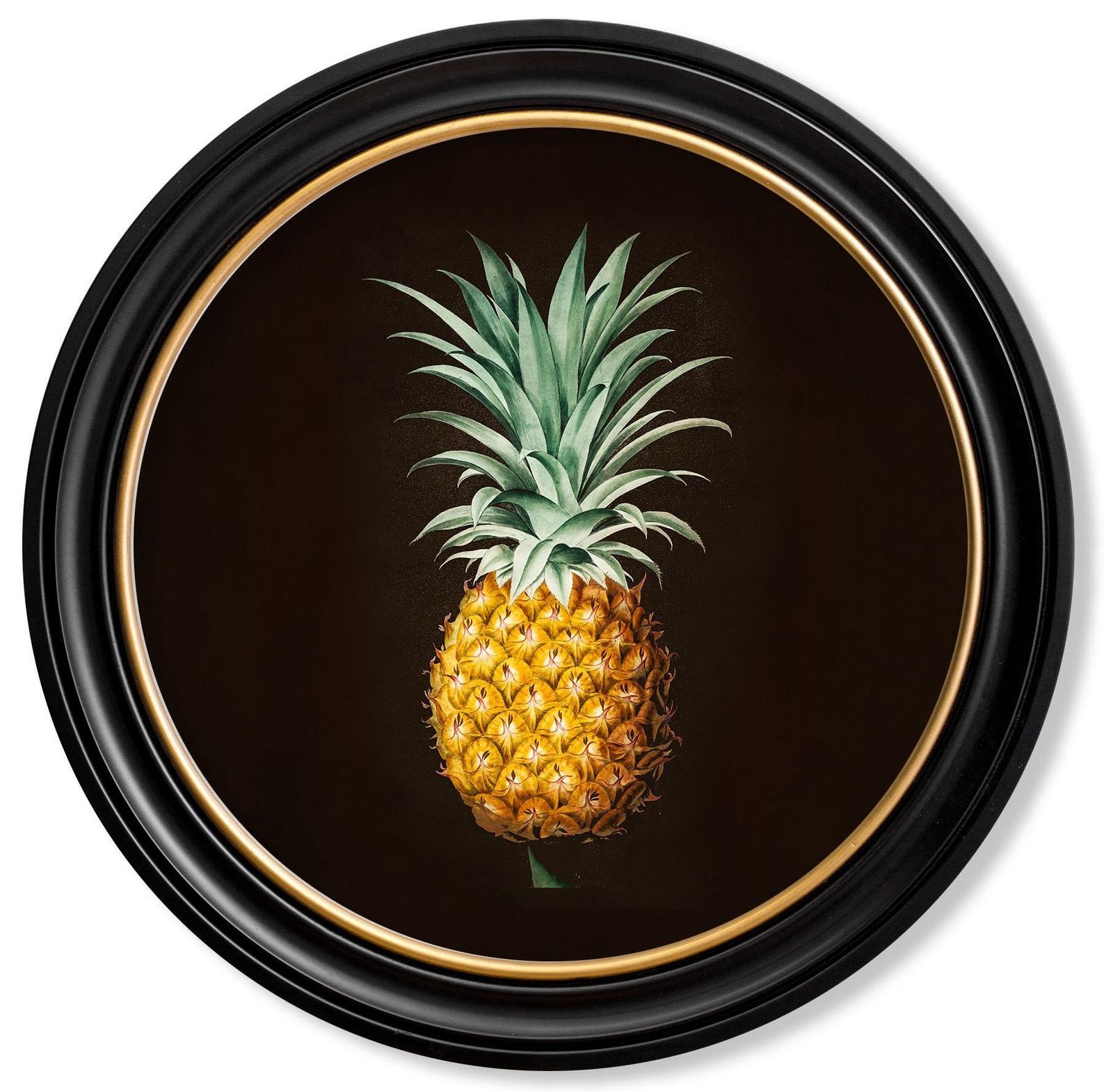 Pineapple Botanical Study Framed Print From French Original Of 1812, New photo furniture